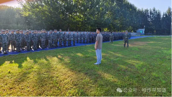 3.webp.png 3.webp.png